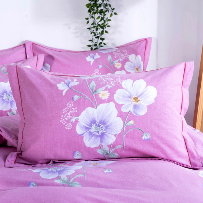 91家纺网 家纺一手货源 找家纺 （总）缘舒家纺 2025新款全棉纯棉加厚磨毛枕套单件--单枕套