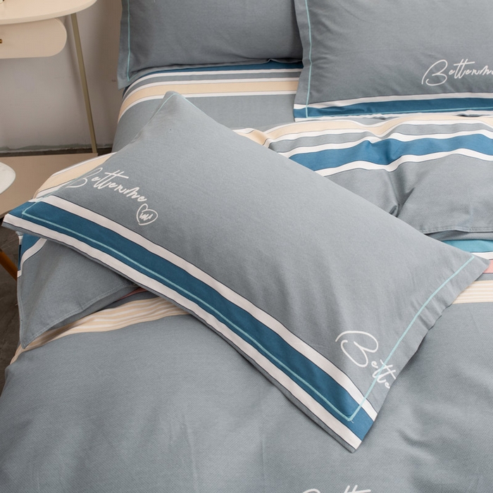 缘舒家纺 2025新款全棉纯棉加厚磨毛枕套单件--单枕套 时空之旅-灰