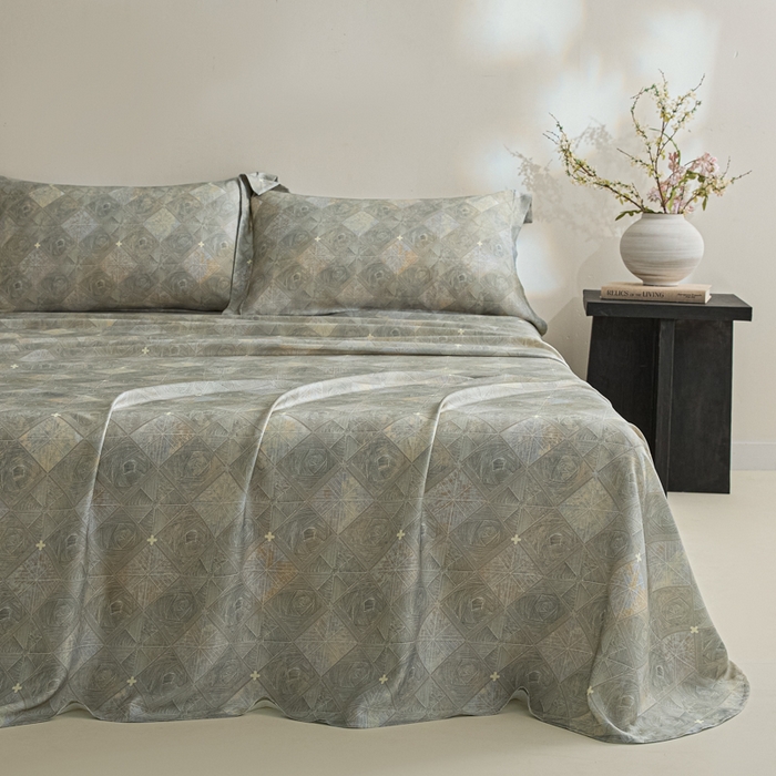 91家纺网 家纺一手货源 找家纺 禾时 2026春夏新款50s莱赛尔天丝床单三件套床单单件 西亚图（灰）