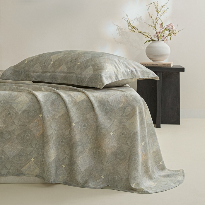 91家纺网 家纺一手货源 找家纺 禾时 2026春夏新款50s莱赛尔天丝床单三件套床单单件 西亚图（灰）