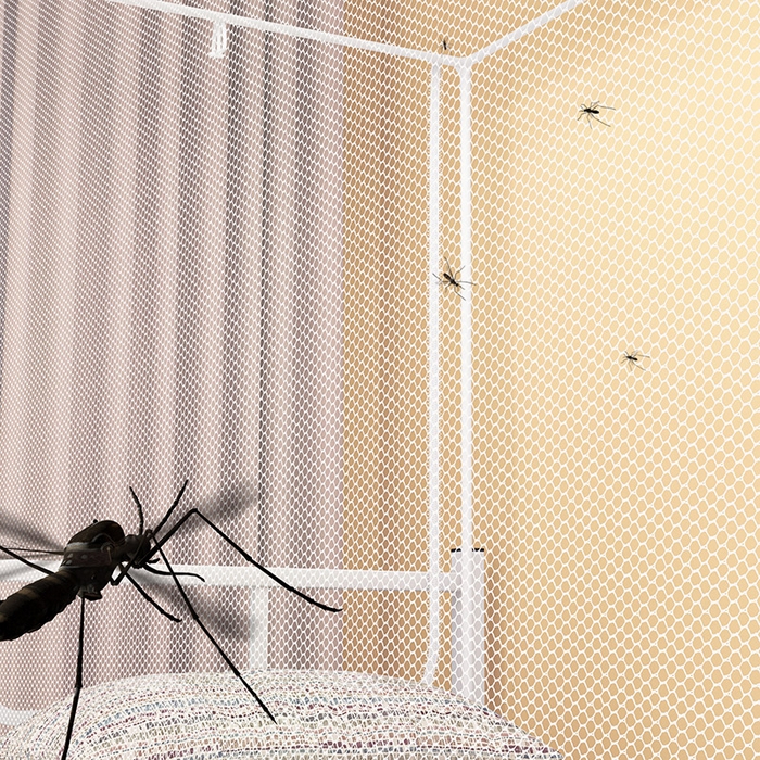 91家纺网 家纺一手货源 找家纺 （总）富莱星蚊帐 2026新款简约风纯白纱学生蚊帐