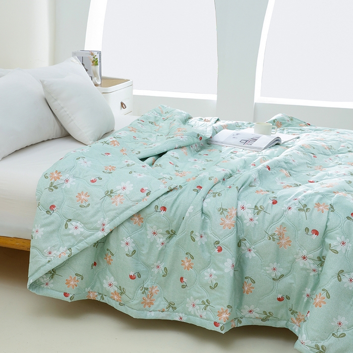 诗雅纺织 2026新款亲肤绒夏被空调被夏凉被 红果