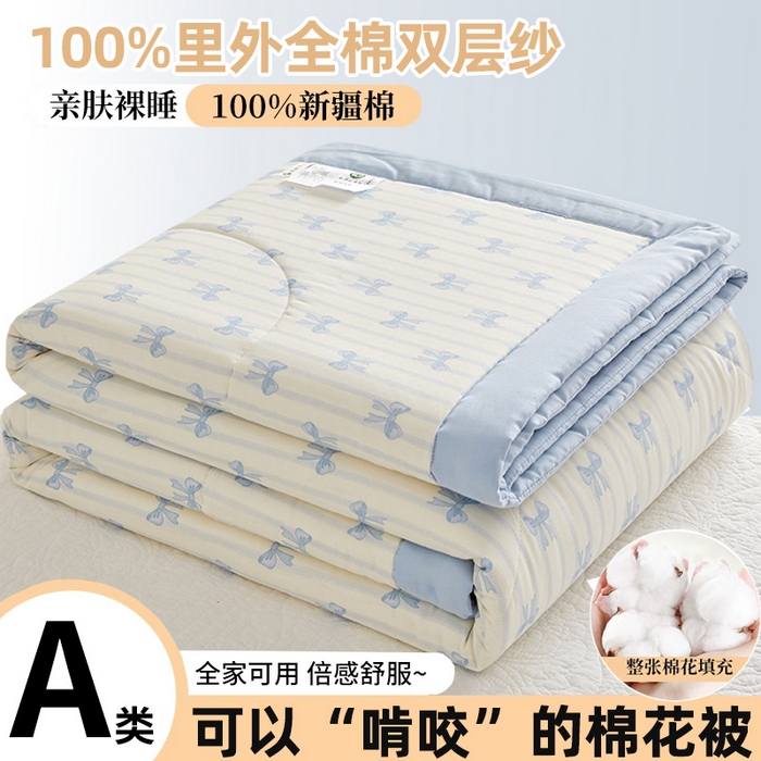 铺尚美家纺 2026新款全棉双层纱夏被被子被芯 好丽友