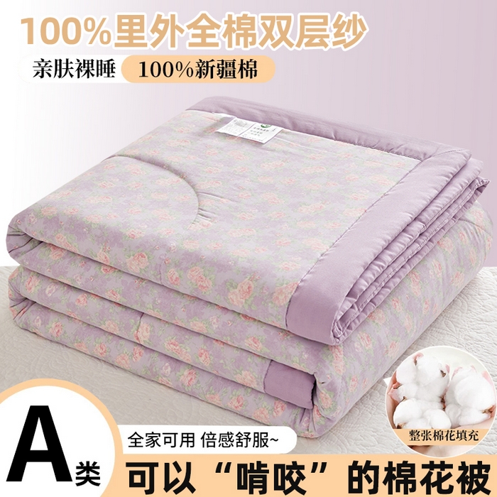 铺尚美家纺 2026新款全棉双层纱夏被被子被芯 罗曼 紫