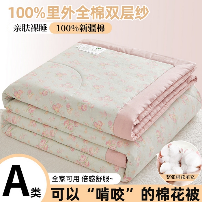 铺尚美家纺 2026新款全棉双层纱夏被被子被芯 米兰