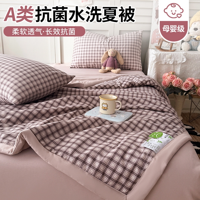 盛凡家纺 2026新款小清新抗菌夏被夏凉被空调被被子被芯夏被四件套 晴窗格影
