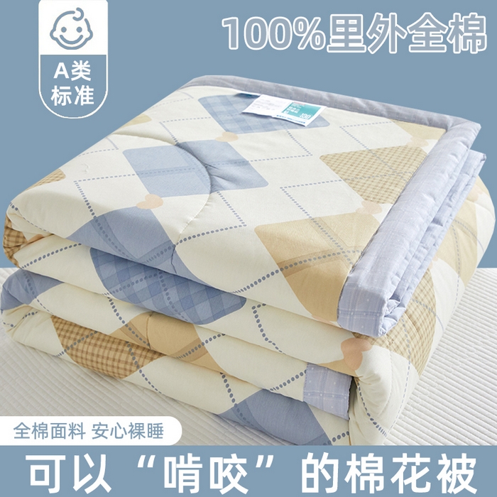 91家纺网 家纺一手货源 找家纺 （总）铺尚美家纺 2026新款A类里外全棉棉花夏被