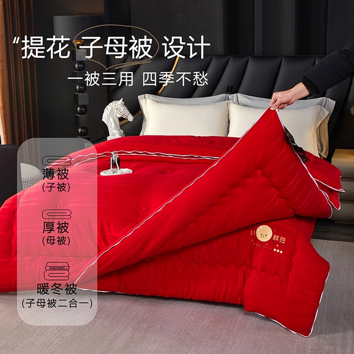 91家纺网 家纺一手货源 找家纺 （总）莱欧纳家纺 2026新款贡缎提花大豆拉链式子母被