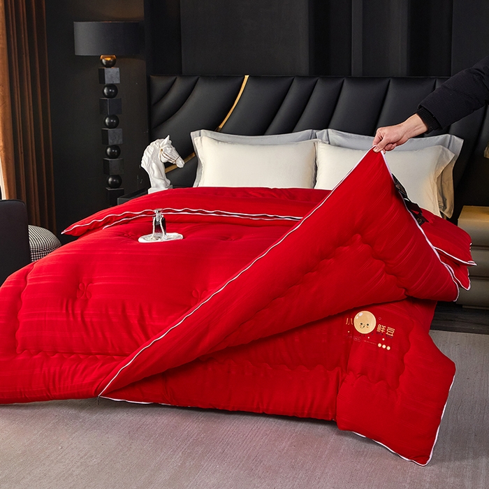 91家纺网 家纺一手货源 找家纺 （总）莱欧纳家纺 2026新款贡缎提花大豆拉链式子母被