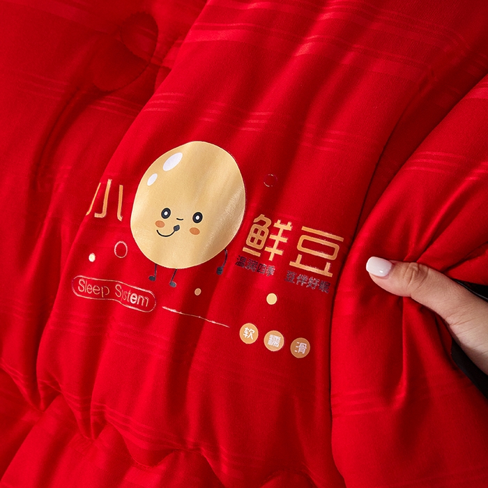 91家纺网 家纺一手货源 找家纺 （总）莱欧纳家纺 2026新款贡缎提花大豆拉链式子母被