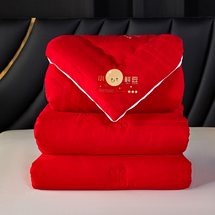 91家纺网 家纺一手货源 找家纺 （总）莱欧纳家纺 2026新款贡缎提花大豆拉链式子母被