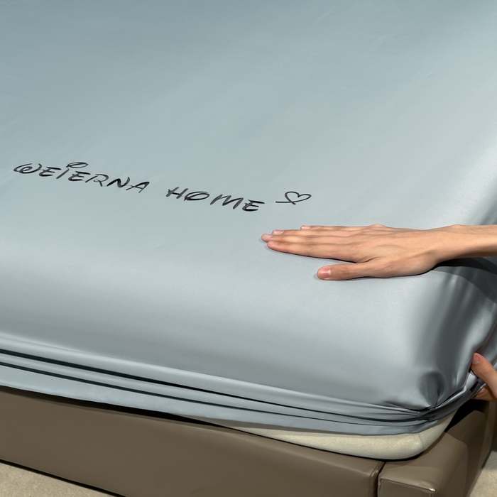 91家纺网 家纺一手货源 找家纺 利欧 2026新款水洗真丝-LI利-单床笠床笠三件套 利-浅银灰