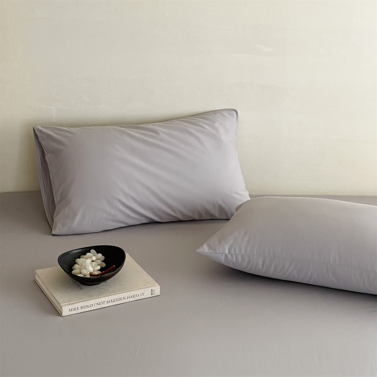 91家纺网 家纺一手货源 找家纺 三味舒屋 2026新款初色系列全棉水洗棉系列单品枕套 琥珀银