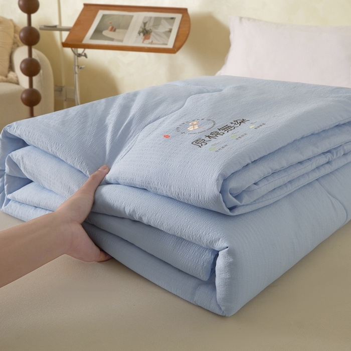 友承家纺 皱皱纱木棉双层纱面料大豆纤维夏凉被空调被四季通用被子2026新款单人夏被芯双人可机洗水洗 香槟兰