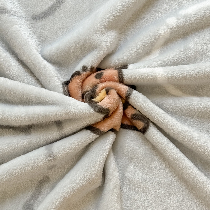 91家纺网 家纺一手货源 找家纺 （总）宅部落 2026新款亲肤舒适牛奶绒印花毛毯毯子300克云貂绒盖毯毯子