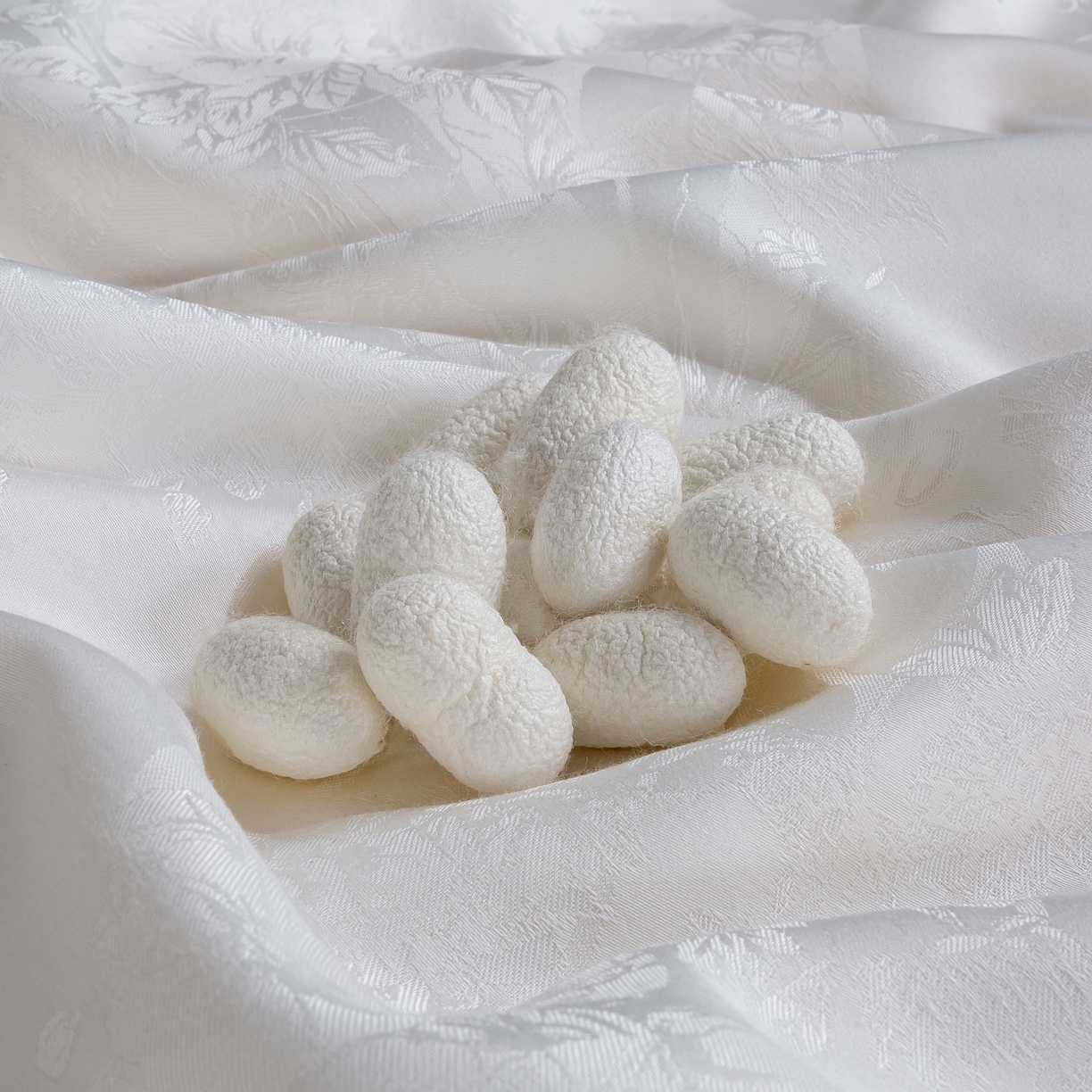 91家纺网 家纺一手货源 找家纺 （总）蚕云阁蚕丝家居 2026新款天丝棉蚕丝夏被