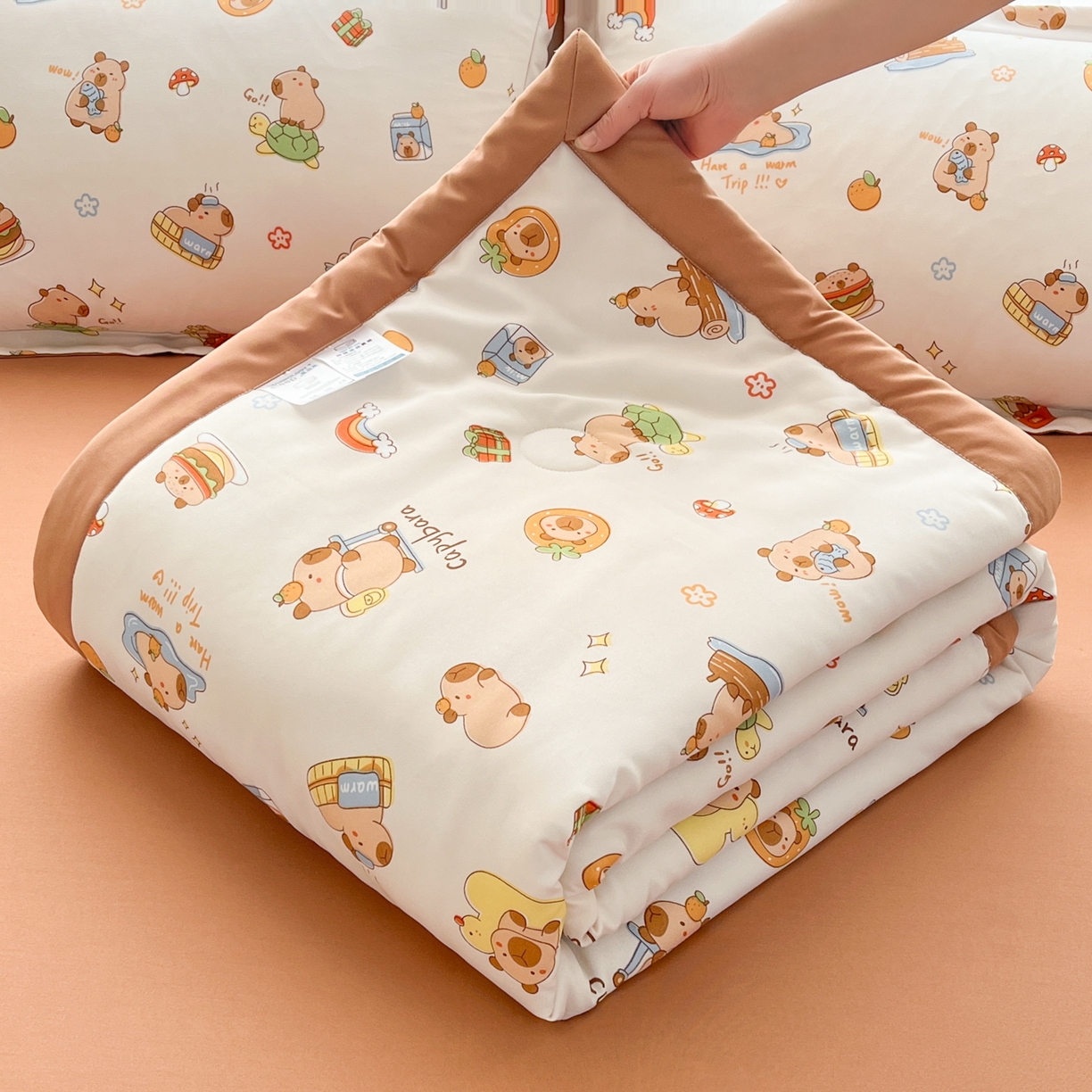 91家纺网 家纺一手货源 找家纺 （总）宝士康家纺 2026新款10A抗菌水洗棉超声波压花夏被 被子被芯