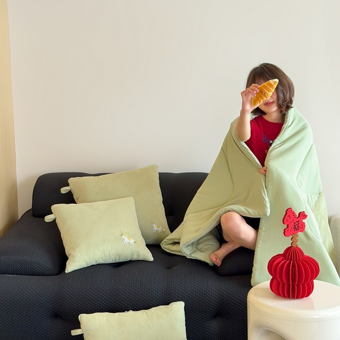 91家纺网 家纺一手货源 找家纺 （总）多米家居 2026新款马力全开抱枕被（控价小号券后不低于46，大号券后不低于70）