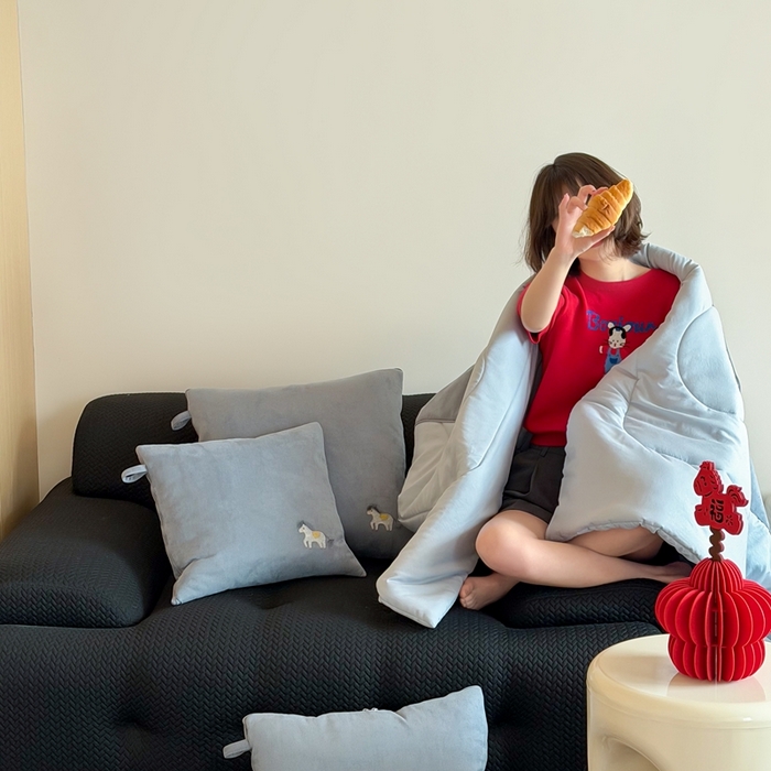 91家纺网 家纺一手货源 找家纺 （总）多米家居 2026新款马力全开抱枕被（控价小号券后不低于46，大号券后不低于70）