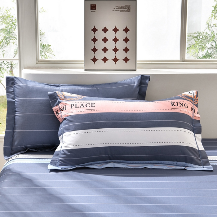 91家纺网 家纺一手货源 找家纺 董成龙 2026新款直播爆款加厚全棉活性磨毛四件套纯棉三件套 北欧岗山