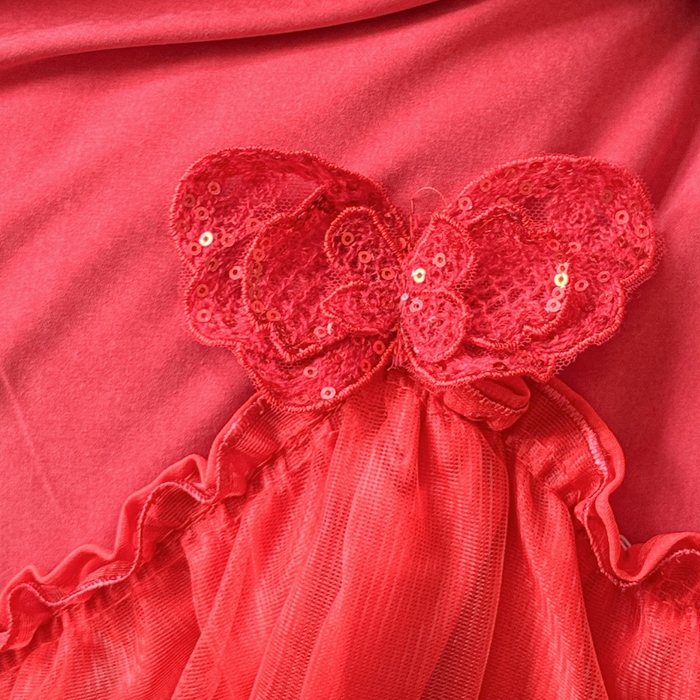 91家纺网 家纺一手货源 找家纺 睡美人 2026新款锦棉糯糯棉韩版蕾丝公主款双层纱被套床裙四件套-翩翩起舞 翩翩起舞-胭脂红