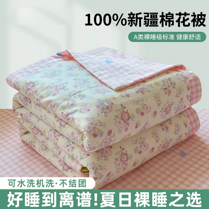 91家纺网 家纺一手货源 找家纺 （总）蓝雀翎 2025新款全棉印花新疆棉花夏被