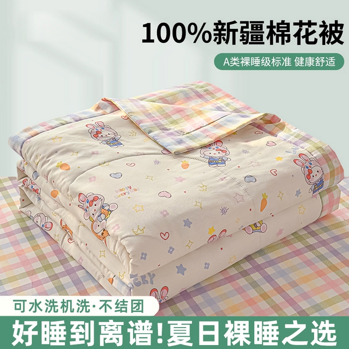 91家纺网 家纺一手货源 找家纺 （总）蓝雀翎 2025新款全棉印花新疆棉花夏被