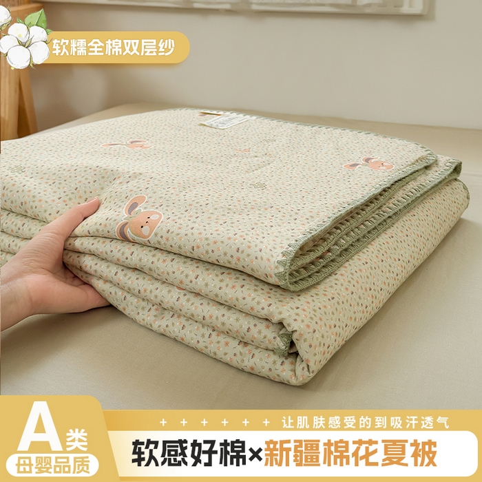 雯雨家纺 2026新款全棉双层纱新疆棉花夏被空调被被子被芯 梦想小筑
