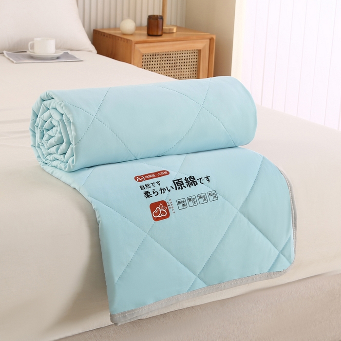 薇玛仕 2026新款外贸跨境电商礼品烫画款超声波原棉大豆夏凉被空调被单双人薄被子 超声波--原棉天蓝