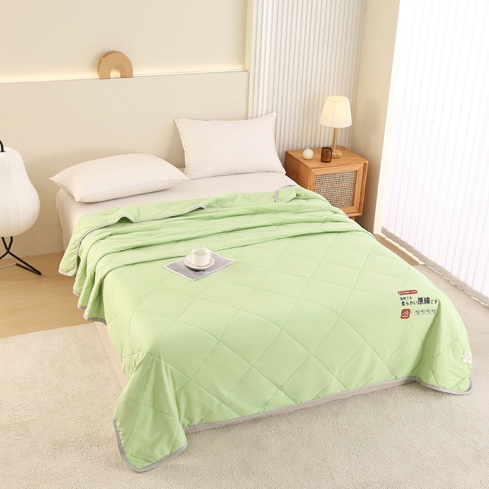 91家纺网 家纺一手货源 找家纺 薇玛仕 2026新款外贸跨境电商礼品烫画款超声波原棉大豆夏凉被空调被单双人薄被子 超声波--原棉果绿