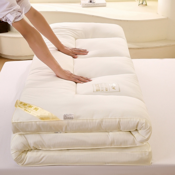 伊赛家纺 2026新款亲肤磨毛大豆床褥床垫 白色
