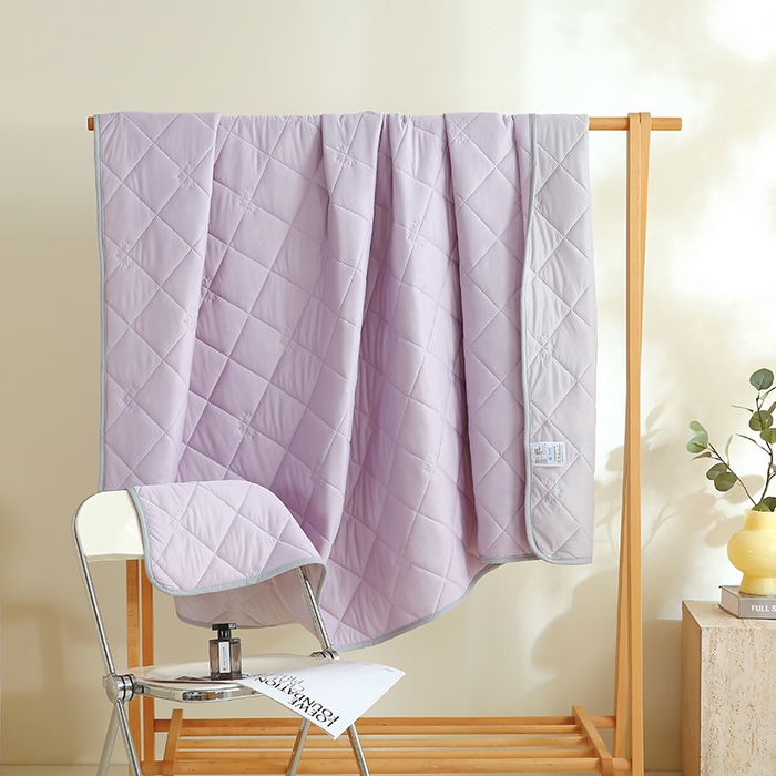 伊赛家纺 2026新款有铵凉感丝夏被 浅紫