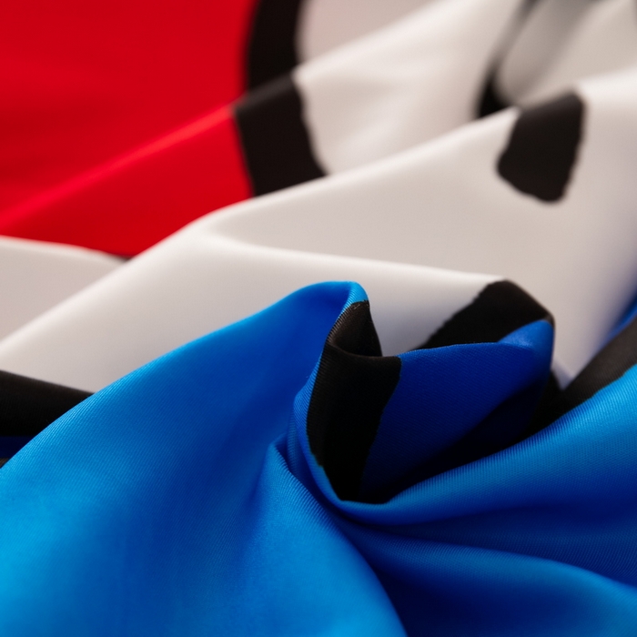 91家纺网 家纺一手货源 找家纺 一电 2026新款卡通床单床笠棕垫床套防尘罩席床垫保护套卡通儿童上下床单床笠-第四批 叮当快跑