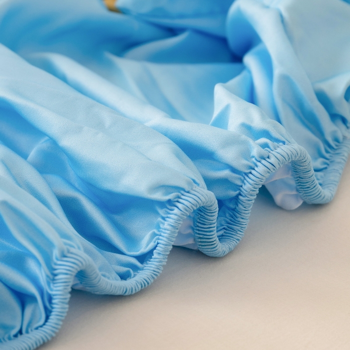 91家纺网 家纺一手货源 找家纺 一电 2026新款卡通床单床笠棕垫床套防尘罩席床垫保护套卡通儿童上下铺床单床笠-第五批 可爱叮当