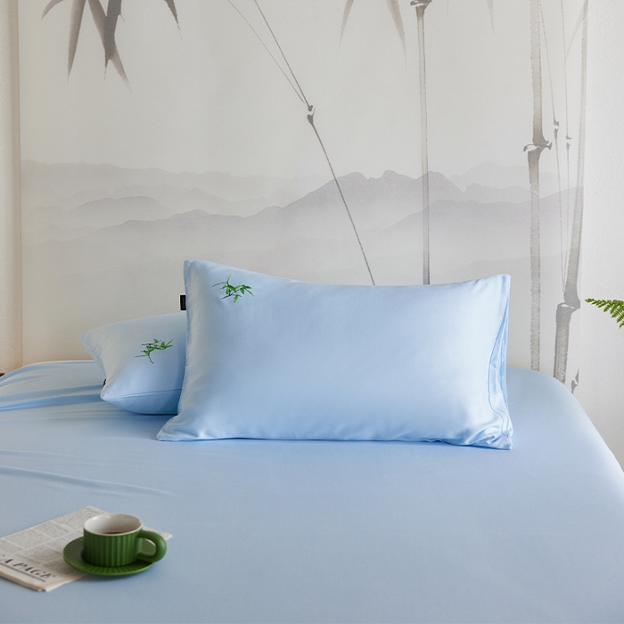 春皖家纺 2026新款A类竹纤维绣花床单凉席系列-单枕套风格2 流星蓝