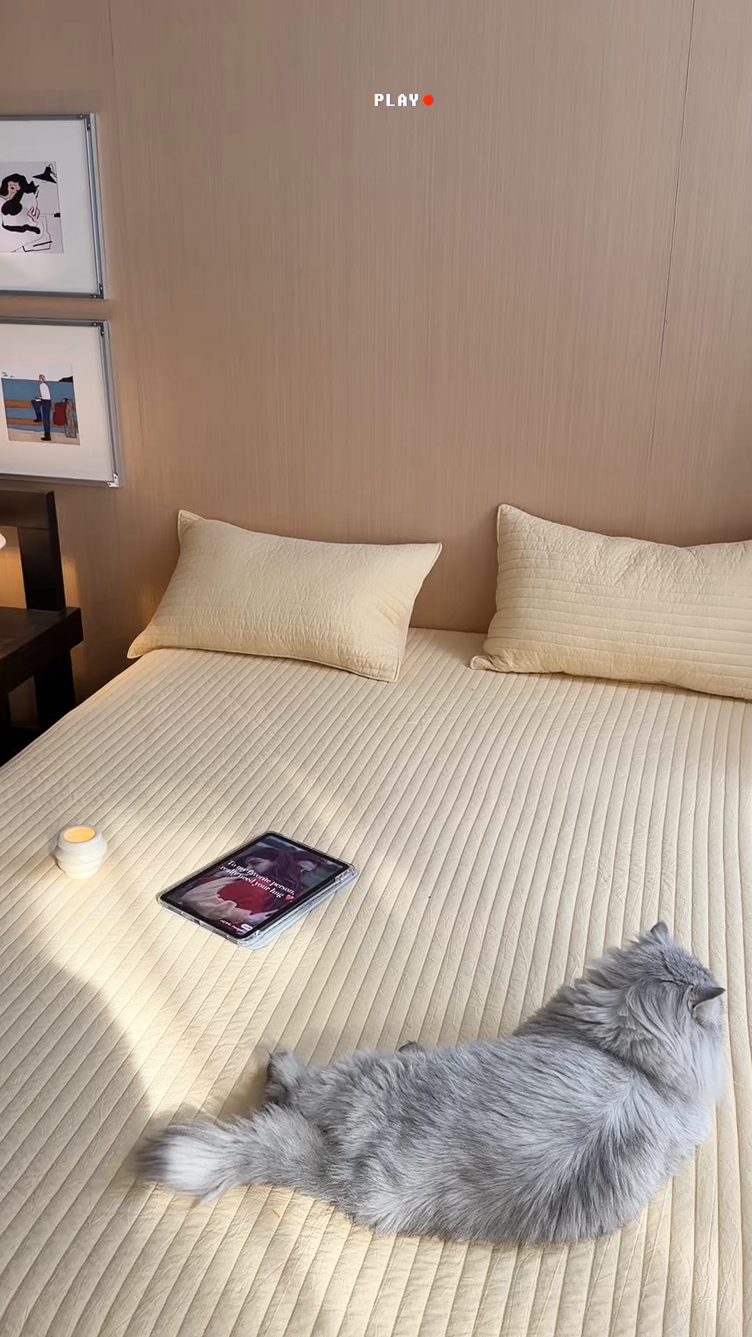 91家纺网 家纺一手货源 找家纺 乐野家居 2026新款韩风系列高密度色织全棉纯棉绗缝床盖 松紧防滑床单 芝士黄