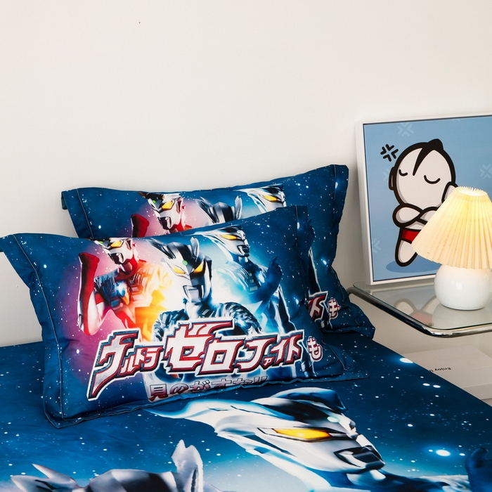 91家纺网 家纺一手货源 找家纺 （总）一电 2026新款跨境电商卡通学生枕头套枕套48x74cm单只件一对装儿童男孩枕皮子-2.磨毛枕套