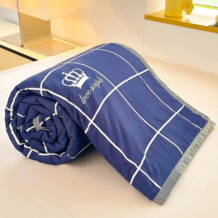 91家纺网 家纺一手货源 找家纺 友承家纺 2026年新款超声波压花双人卡通夏凉被亲肤磨毛空调被学生宿舍单人被床上用品礼品被 初遇