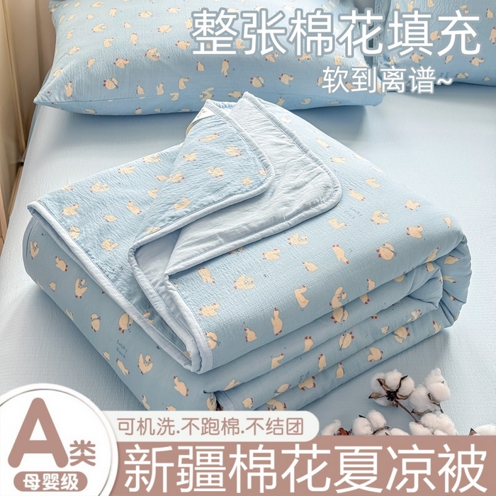 爱屋及屋 2026新款双层纱小包边棉花夏被【含买家秀】 向天歌