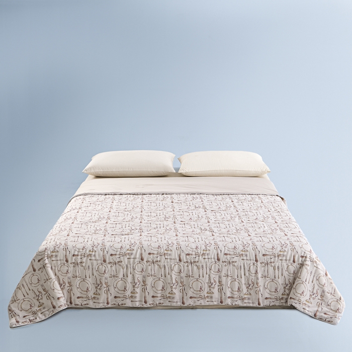 金昱纺 2026春夏新款A类全棉双层纱棉花单夏被夏凉被空调被 中世纪-咖