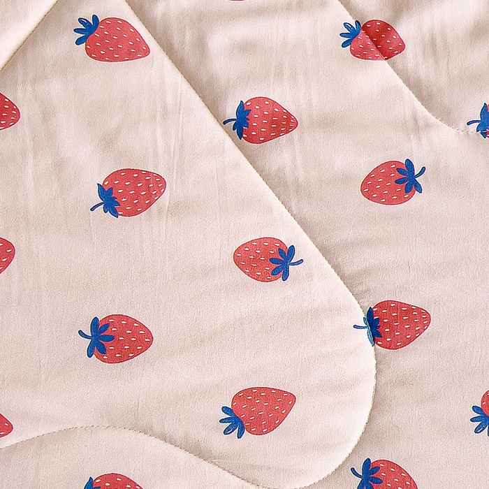 91家纺网 家纺一手货源 找家纺 吉咪兔家纺 2024年新款水洗棉儿童夏凉被婴儿空调被宝宝幼儿园专用大豆芯夏季薄款小被子 小草莓