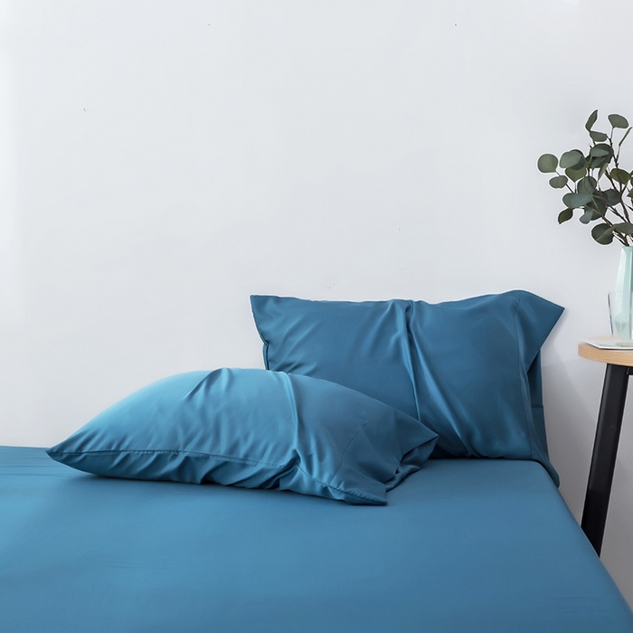 恩和家纺 2026新款简约竹纤维单枕套枕套单件单品枕套 老兰