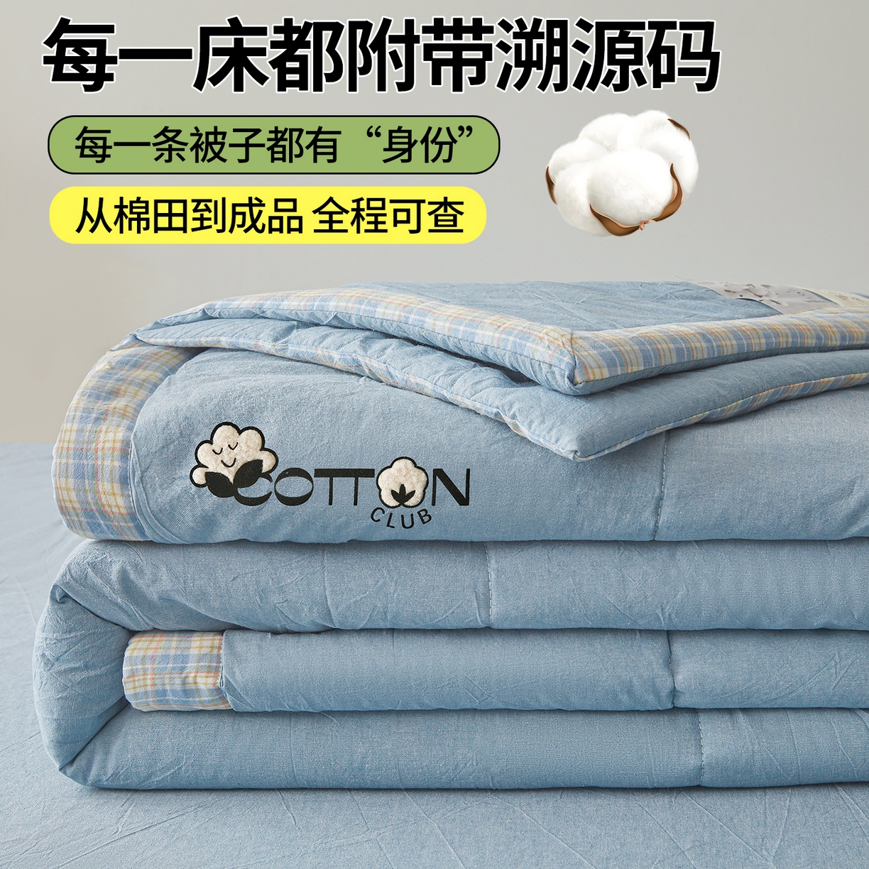 2026新款A类里外全棉夏凉被100%新疆棉纯棉全棉填充烫画款空调被夏被 全棉烫画-天空蓝