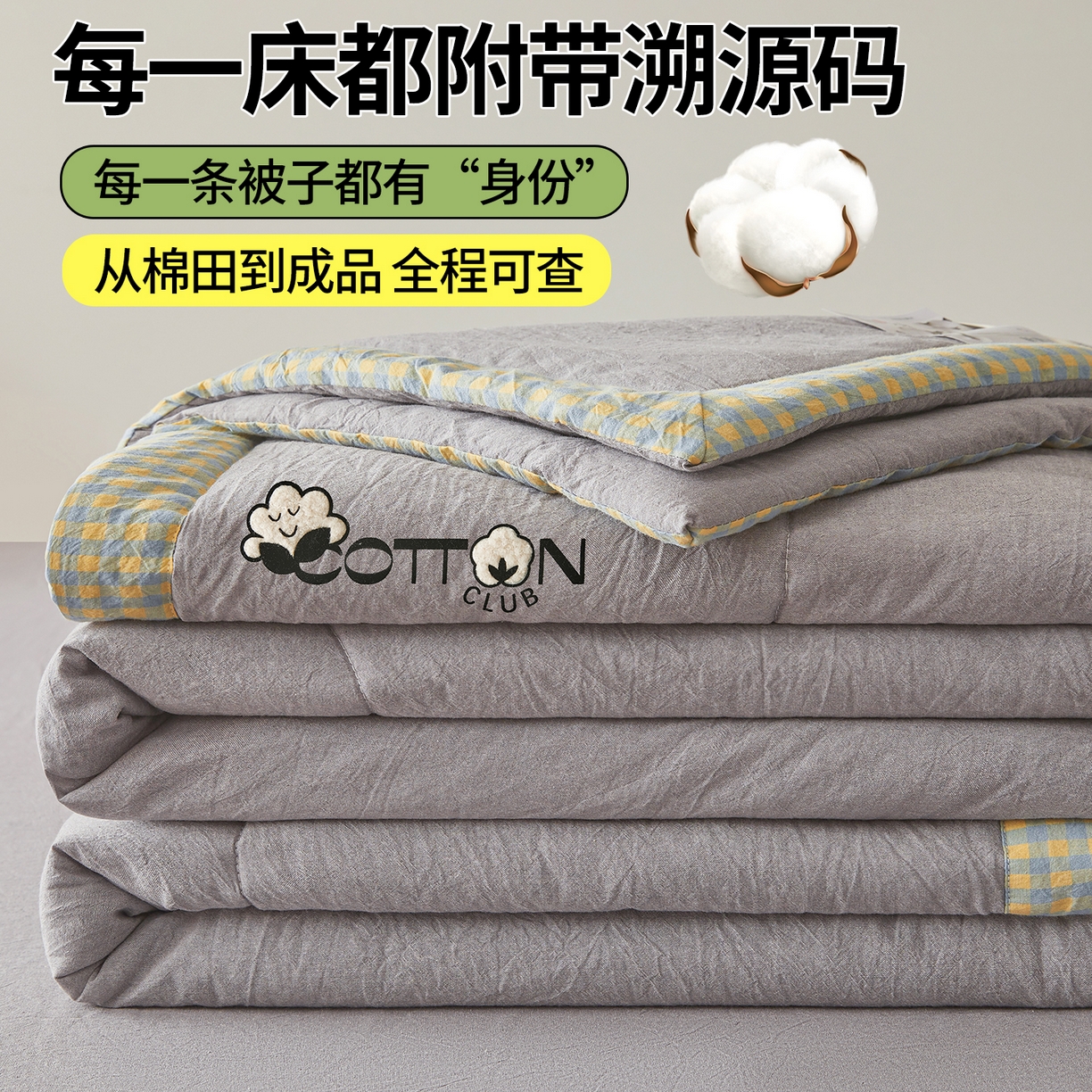 2026新款A类里外全棉夏凉被100%新疆棉纯棉全棉填充烫画款空调被夏被 全棉烫画-月光灰