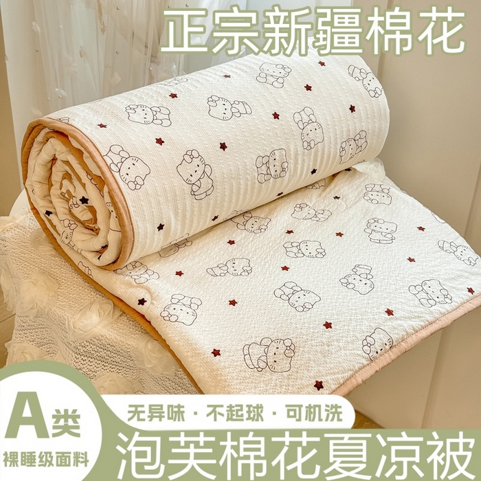 爱屋及屋 2026春夏新款泡芙棉棉花夏被夏凉被空调被 描线小猫