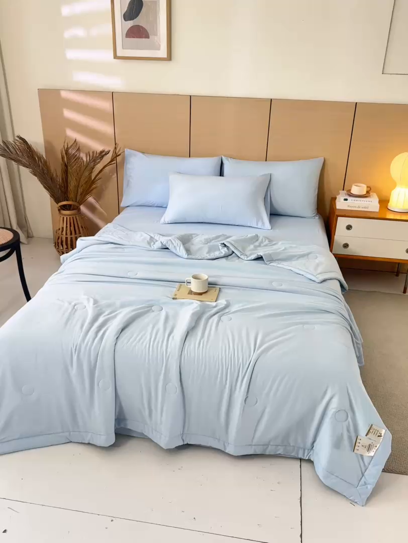 91家纺网 家纺一手货源 找家纺 爱屋及屋 2026新款撞色双拼新疆棉花夏被空调被夏凉被 单拼-天蓝