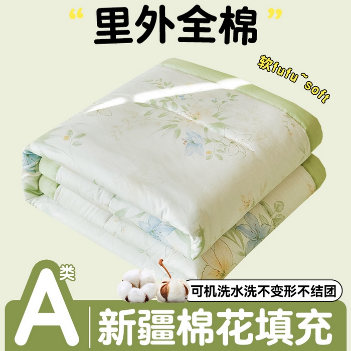 恬思语家纺 2026春夏新款里外全棉印花棉花夏被空调被夏凉被夏被四件套 格拉花园