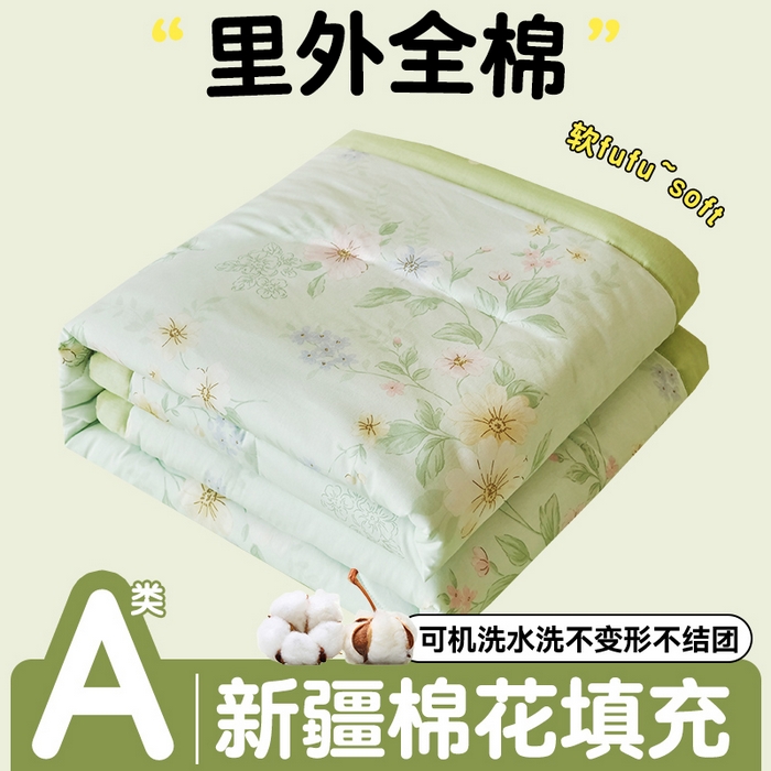 恬思语家纺 2026春夏新款里外全棉印花棉花夏被空调被夏凉被夏被四件套 国色嫣然-绿