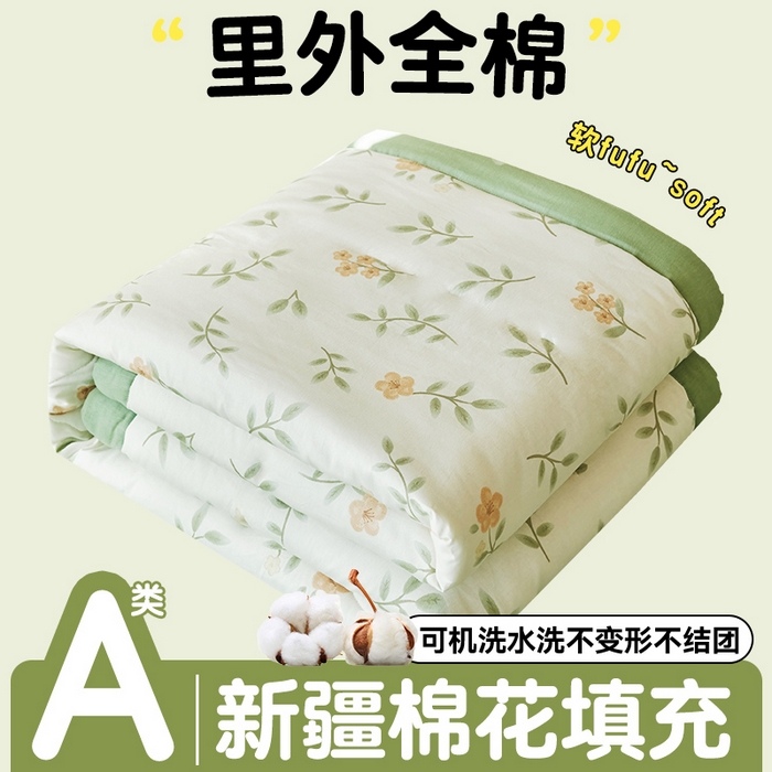 恬思语家纺 2026春夏新款里外全棉印花棉花夏被空调被夏凉被夏被四件套 花叶青风