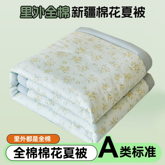 91家纺网 家纺一手货源 找家纺 恬思语家纺 2026春夏新款里外全棉印花棉花夏被空调被夏凉被夏被四件套 沁香-兰